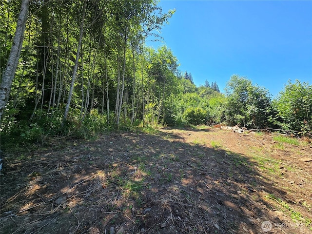 00 Highland Valley Rd, Morton, WA 98356 - photo 5