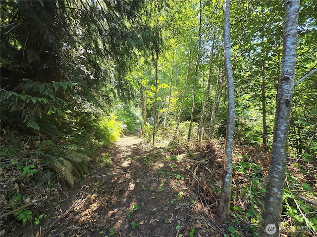00 Highland Valley Rd, Morton, WA 98356 - photo 6