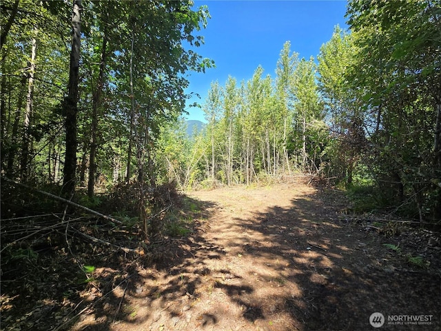 00 Highland Valley Rd, Morton, WA 98356 - photo 7