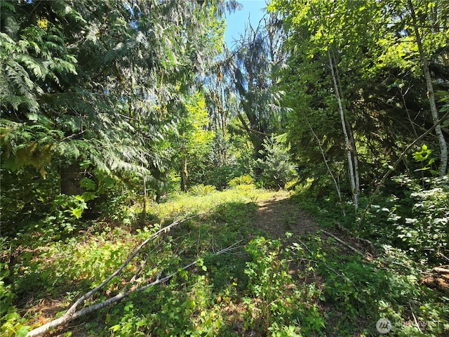 00 Highland Valley Rd, Morton, WA 98356 - photo 8