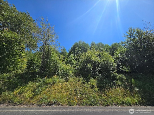 00 Highland Valley Rd, Morton, WA 98356 - photo 9