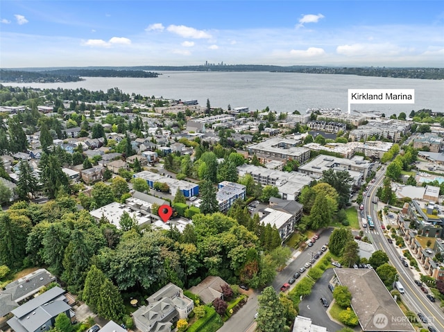 501 Kirkland Ave Unit 303, Kirkland, WA 98033 - photo 4