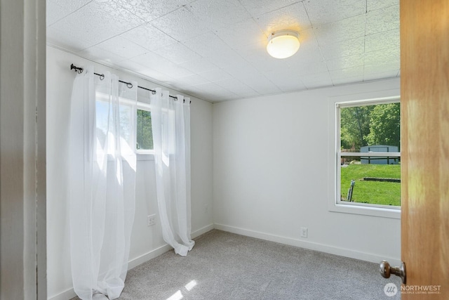 4479 NW Dr, Bellingham, WA 98226 - photo 18