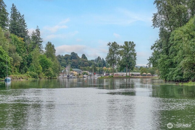 56 Marina Dr, Cathlamet, WA 98612 - photo 31