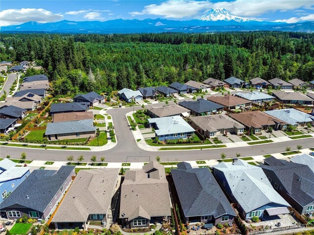 14808 182nd Ave E, Bonney Lake, WA 98391 - photo 14