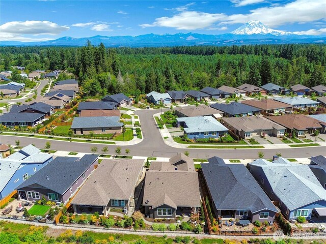 14808 182nd Ave E, Bonney Lake, WA 98391 - photo 25