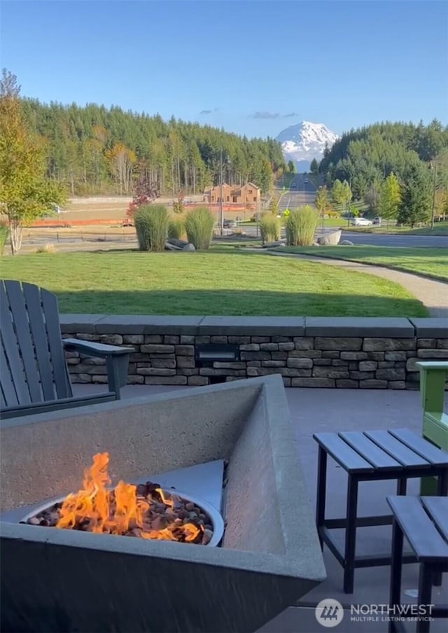 14808 182nd Ave E, Bonney Lake, WA 98391 - photo 35