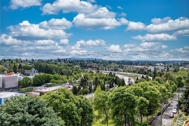 1019 Sturgus Ave S Unit B, Seattle, WA 98144 - photo 1