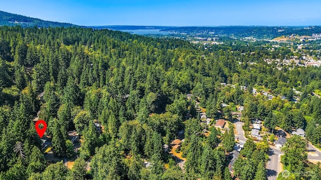 895 Wildwood Blvd SW, Issaquah, WA 98027 - photo 36