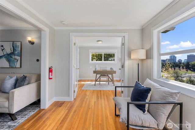 340 NE 53rd St, Seattle, WA 98105 - photo 8