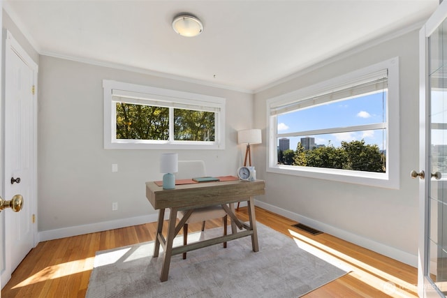 340 NE 53rd St, Seattle, WA 98105 - photo 13