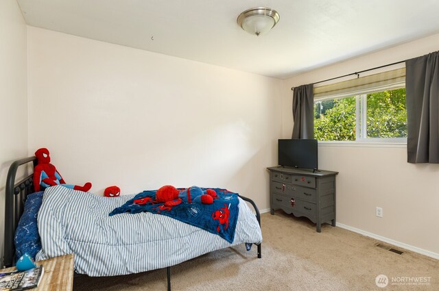 1118 May Ave, Shelton, WA 98584 - photo 12