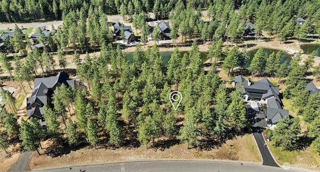 7 Gold Leaf Ln, Cle Elum, WA 98922 - photo 3
