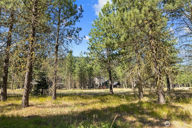 7 Gold Leaf Ln, Cle Elum, WA 98922 - photo 4