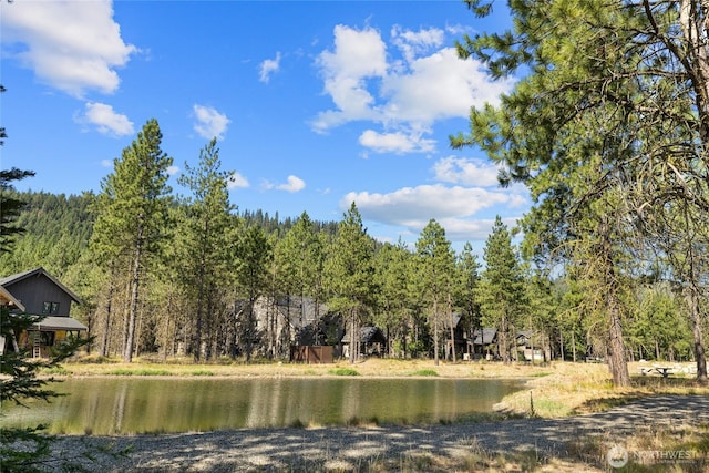 7 Gold Leaf Ln, Cle Elum, WA 98922 - photo 5