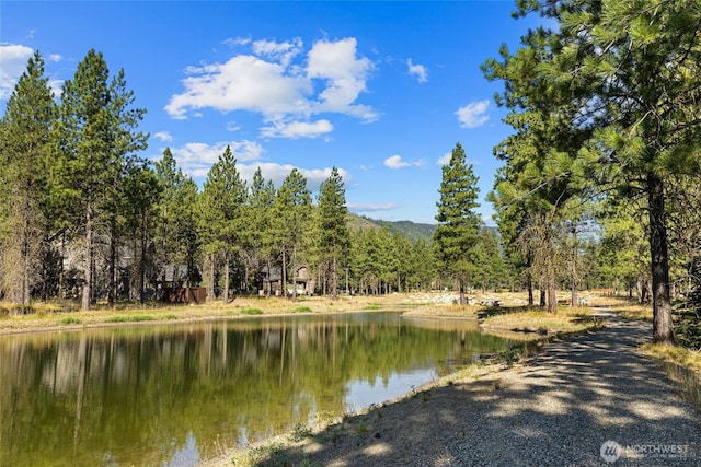 7 Gold Leaf Ln, Cle Elum, WA 98922 - photo 6