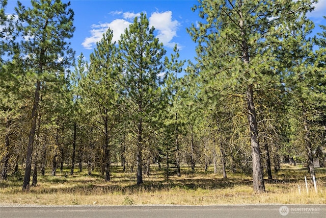 7 Gold Leaf Ln, Cle Elum, WA 98922 - photo 8