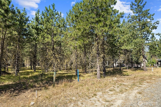 7 Gold Leaf Ln, Cle Elum, WA 98922 - photo 9