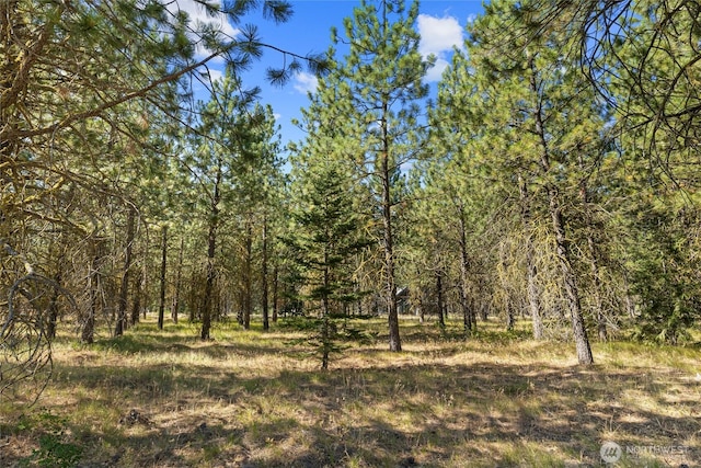 7 Gold Leaf Ln, Cle Elum, WA 98922 - photo 10