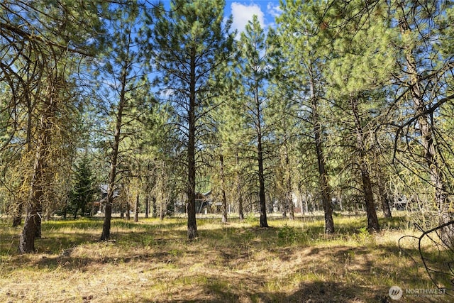 7 Gold Leaf Ln, Cle Elum, WA 98922 - photo 11