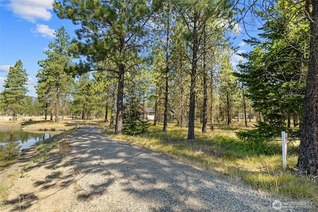 7 Gold Leaf Ln, Cle Elum, WA 98922 - photo 13
