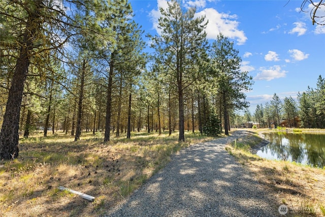 7 Gold Leaf Ln, Cle Elum, WA 98922 - photo 14