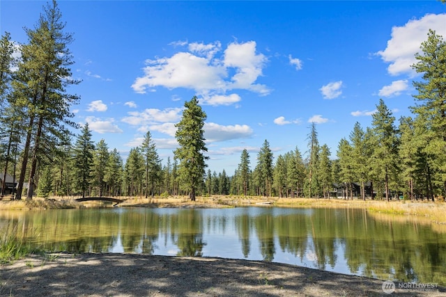 7 Gold Leaf Ln, Cle Elum, WA 98922 - photo 18
