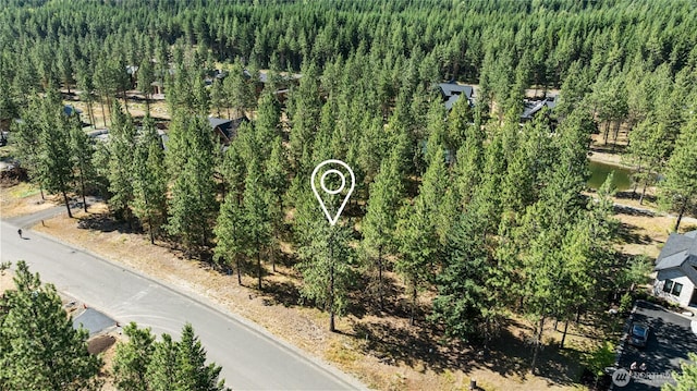 7 Gold Leaf Ln, Cle Elum, WA 98922 - photo 22