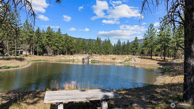 7 Gold Leaf Ln, Cle Elum, WA 98922 - photo 28