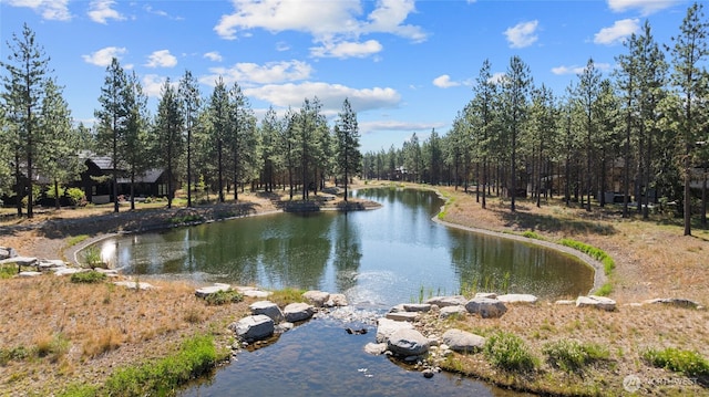 7 Gold Leaf Ln, Cle Elum, WA 98922 - photo 29