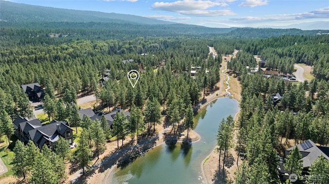 7 Gold Leaf Ln, Cle Elum, WA 98922 - photo 30