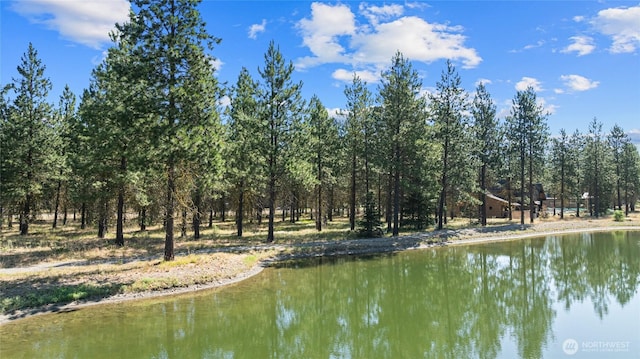 7 Gold Leaf Ln, Cle Elum, WA 98922 - photo 31