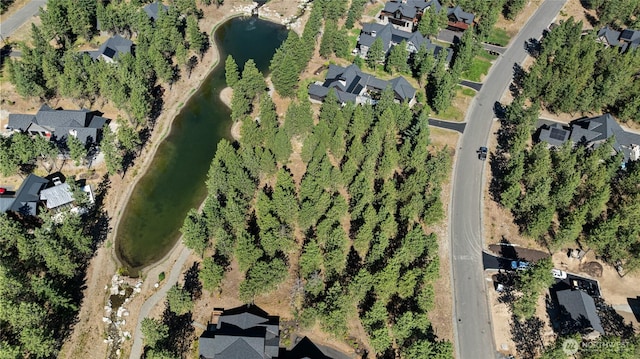 7 Gold Leaf Ln, Cle Elum, WA 98922 - photo 32