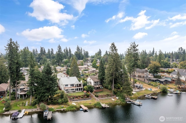 21756 SE 262nd Pl, Maple Valley, WA 98038 - photo 38
