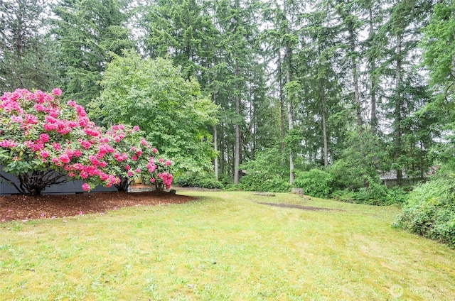 13507 96th Ave NW, Gig Harbor, WA 98329 - photo 14