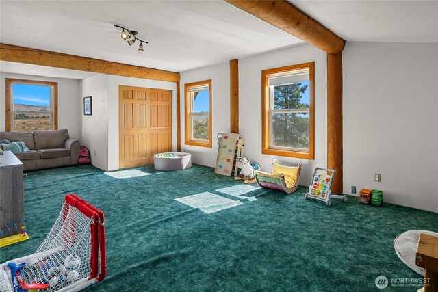 26200 N Wenas Rd, Selah, WA 98942 - photo 27