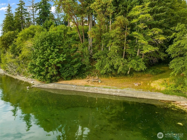 9447 Johnson Point Loop NE, Olympia, WA 98516 - photo 29