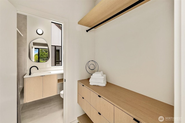 8733 13th Ave NW Unit C, Seattle, WA 98117 - photo 16