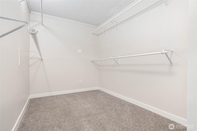 6830 Vail Dr, Lynden, WA 98264 - photo 22