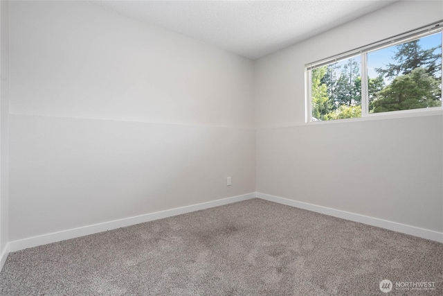 6830 Vail Dr, Lynden, WA 98264 - photo 28