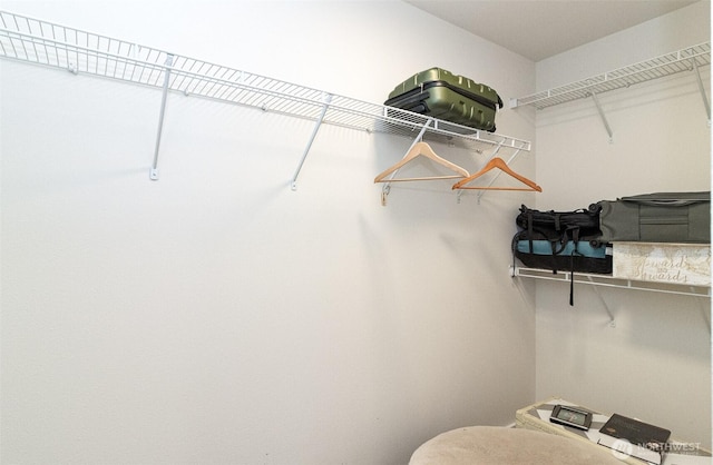 2118 100th Dr SE, Lake Stevens, WA 98258 - photo 35