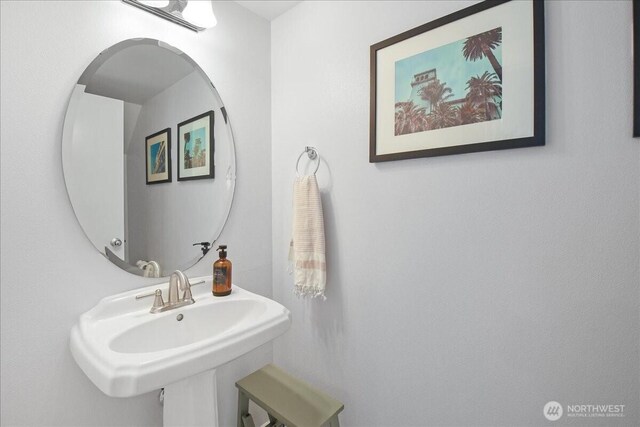 266 Camas Ave SE, Renton, WA 98056 - photo 24