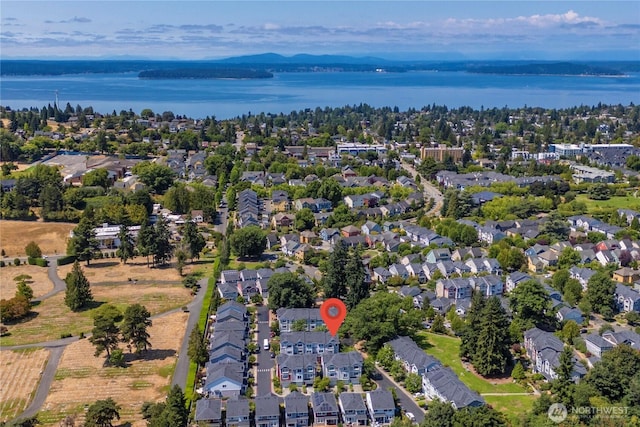 6558 High Point Dr SW, Seattle, WA 98126 - photo 35
