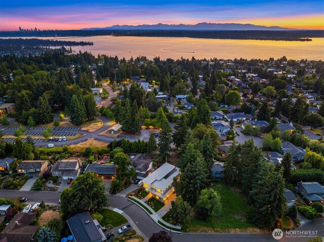 5837 112th Pl NE, Kirkland, WA 98033 - photo 37