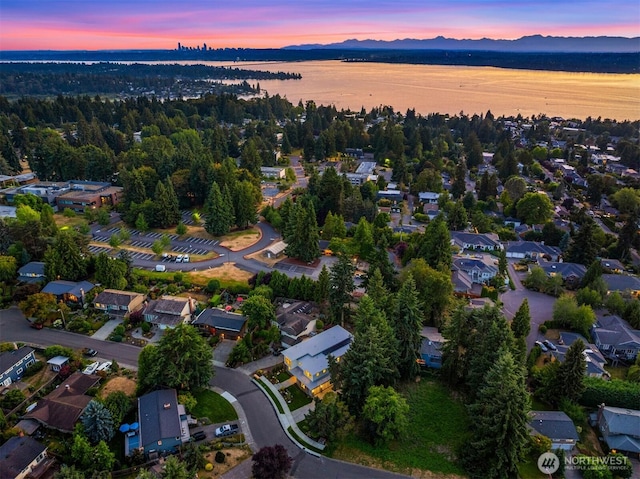 5837 112th Pl NE, Kirkland, WA 98033 - photo 38