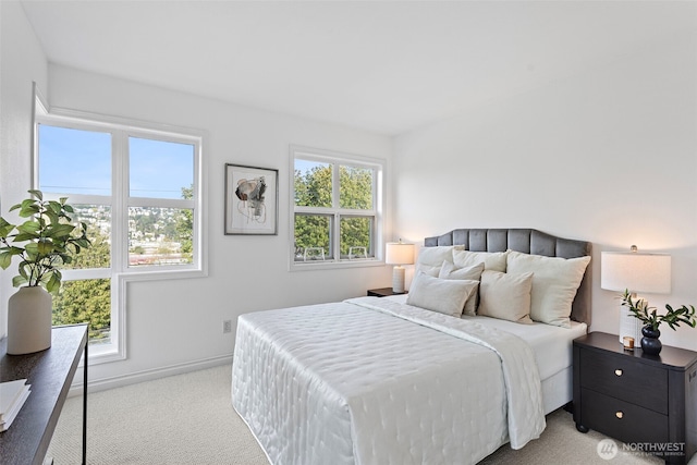 2301 W Crockett St, Seattle, WA 98199 - photo 14