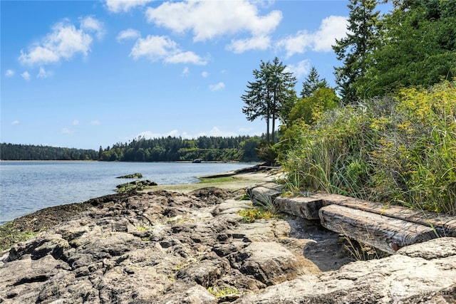 110 W Maple St, Port Ludlow, WA 98365 - photo 8