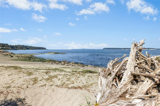 110 W Maple St, Port Ludlow, WA 98365 - photo 26