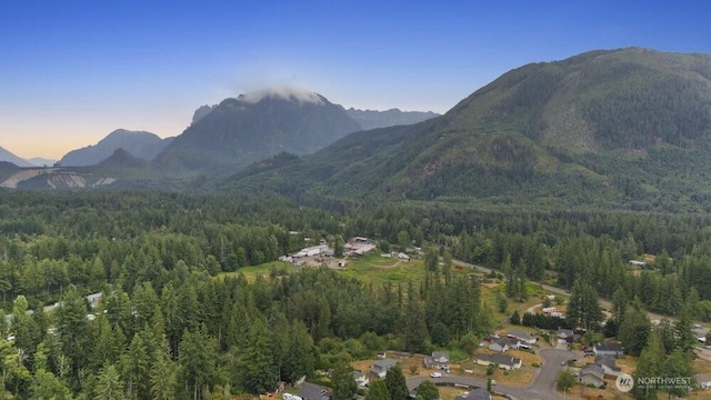 228 Amanda Ave, Gold Bar, WA 98251 - photo 25
