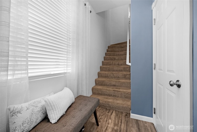 14007 69th Dr SE Unit D2, Snohomish, WA 98296 - photo 23